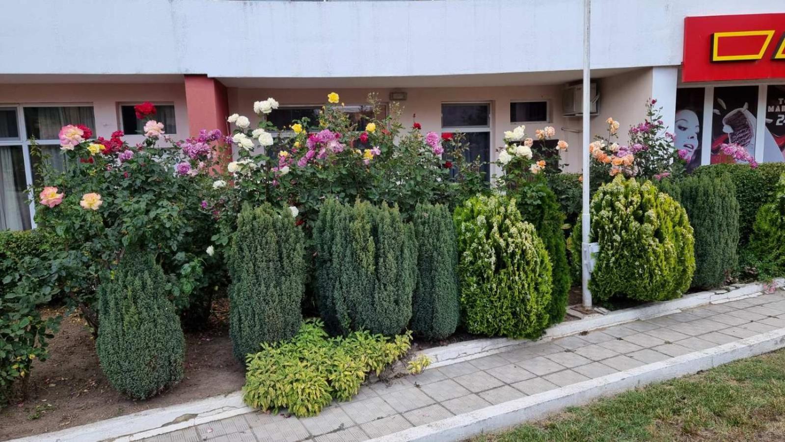 Luxurious Studios Nani Kranevo Εξωτερικό φωτογραφία