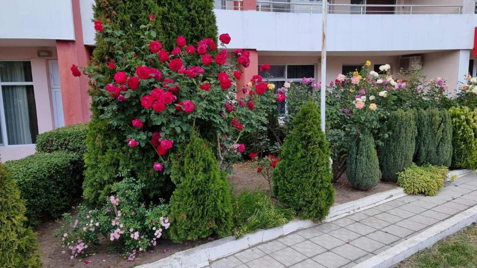 Luxurious Studios Nani Kranevo Εξωτερικό φωτογραφία